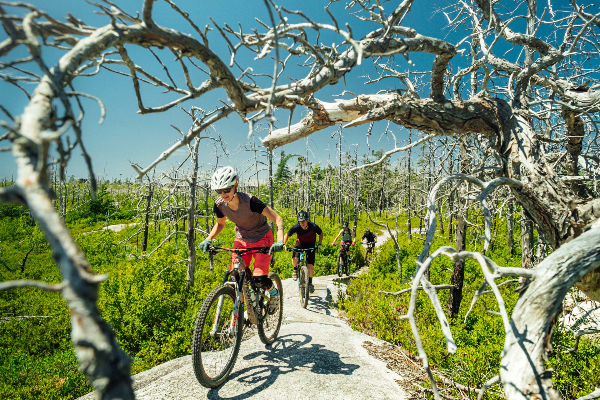 McIntosh Run Mountain Bike Trails Halifax, Nova Scotia – Mountain