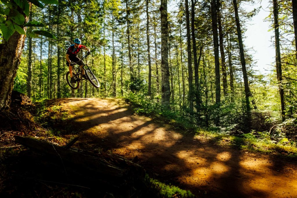 Mark Arendz Provincial Park at Brookvale