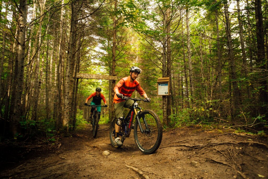 Cub Mountain trail, Corner Brook