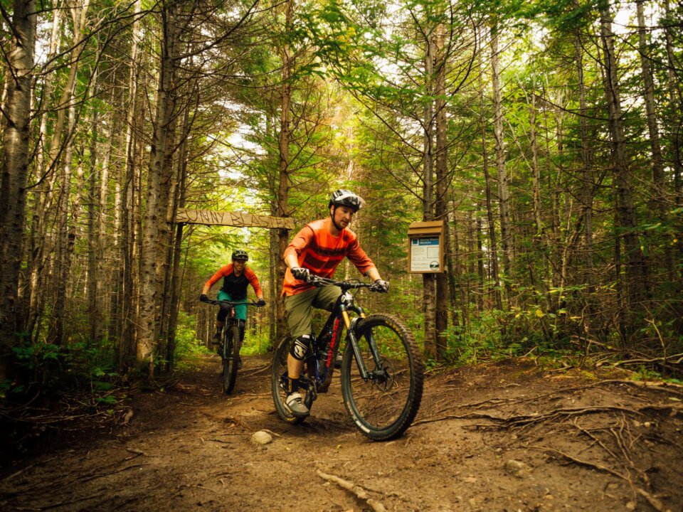 Cub Mountain trail, Corner Brook