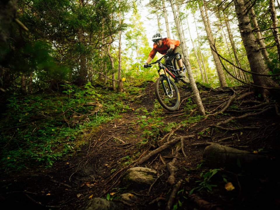 Cub Mountain trail, Corner Brook