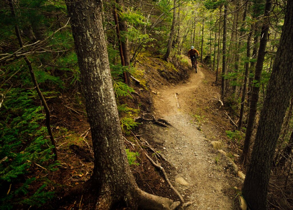 Ginger Route trail, Corner Brook