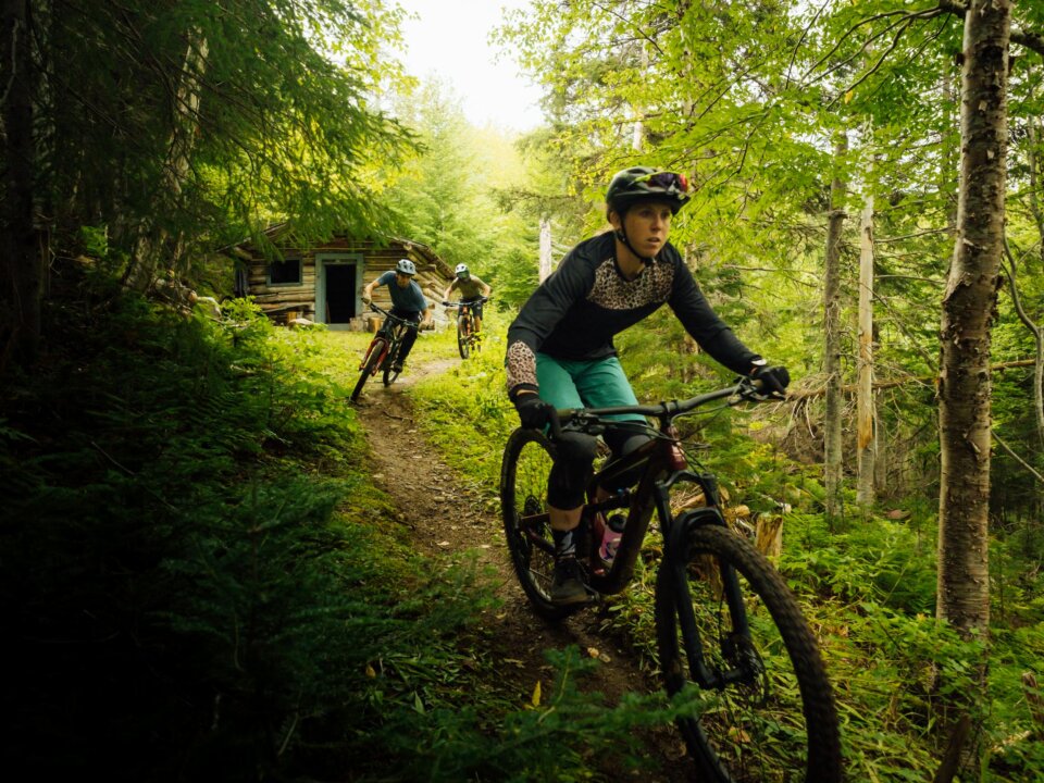 Moose Knuckle trail, Corner Brook