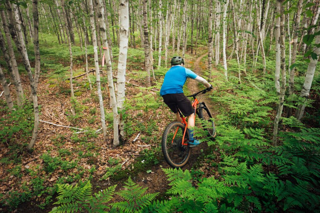 MTB Atlantic French Fort Cove Miramichi Mountain Biking Trails