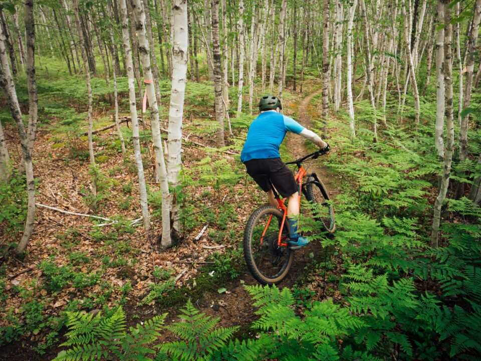 MTB Atlantic French Fort Cove Miramichi Mountain Biking Trails