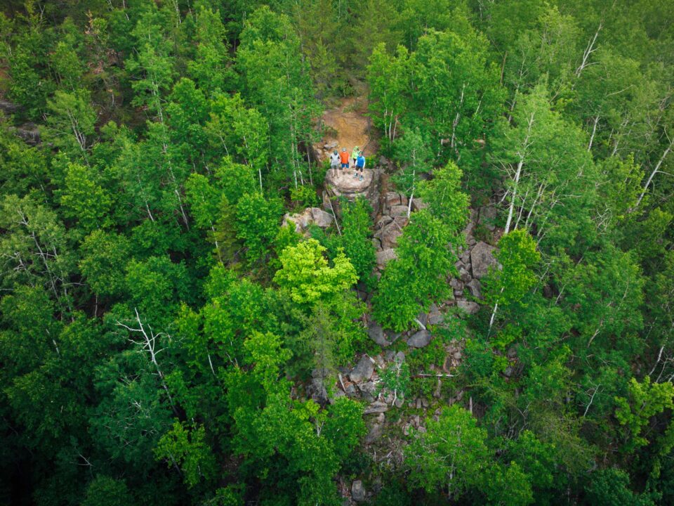 MTB Atlantic French Fort Cove Miramichi Mountain Biking Trails