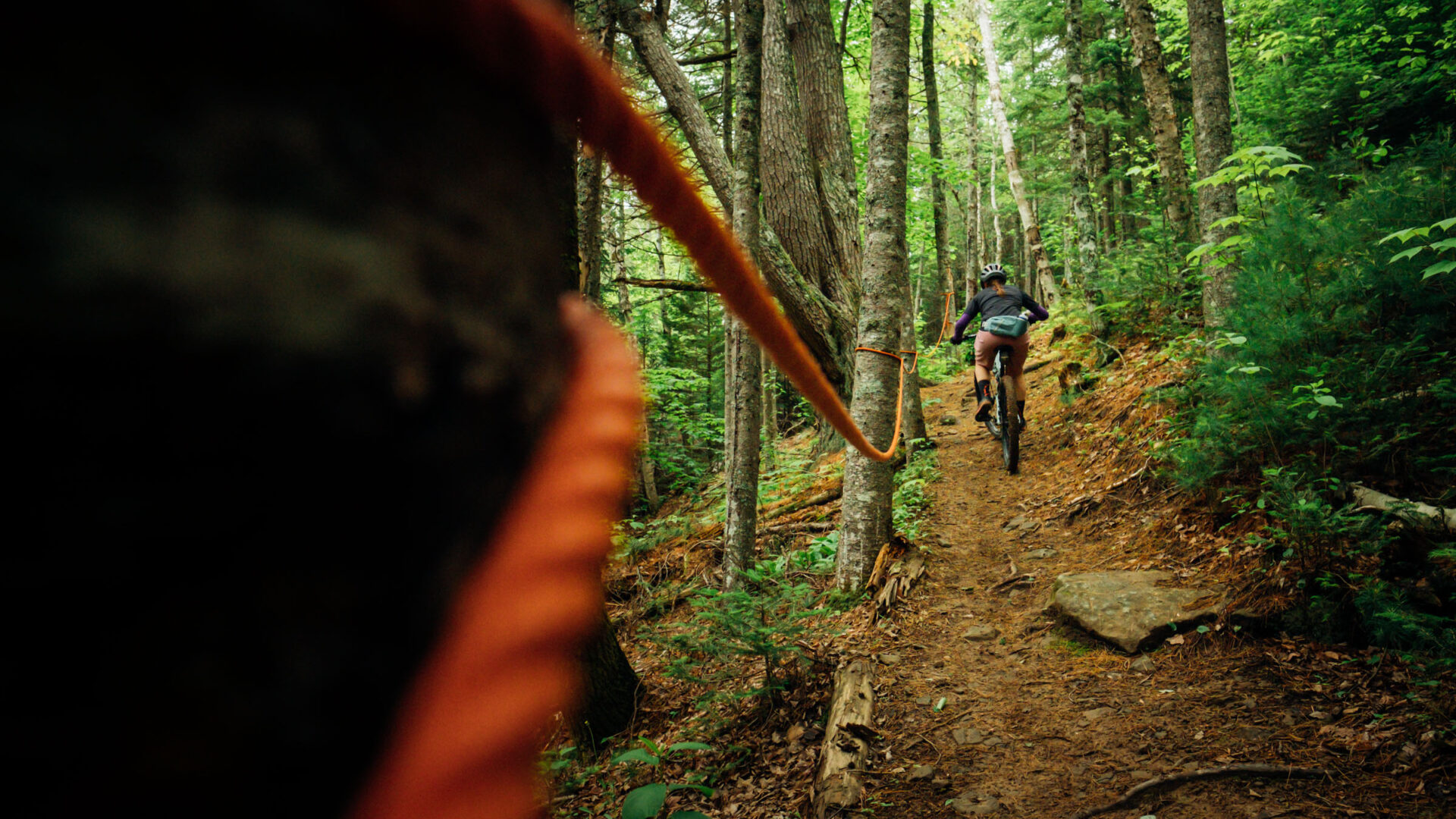 MTB Atlantic APASOA Shediac Trail Network